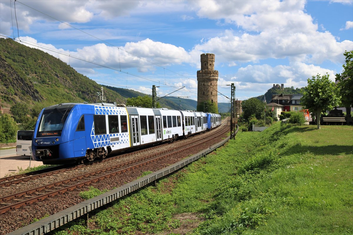 VLEXX Alstom Lint 54 (622 444) und Lint 54 (622 xxx) am 10.08.19 bei Oberwesel 