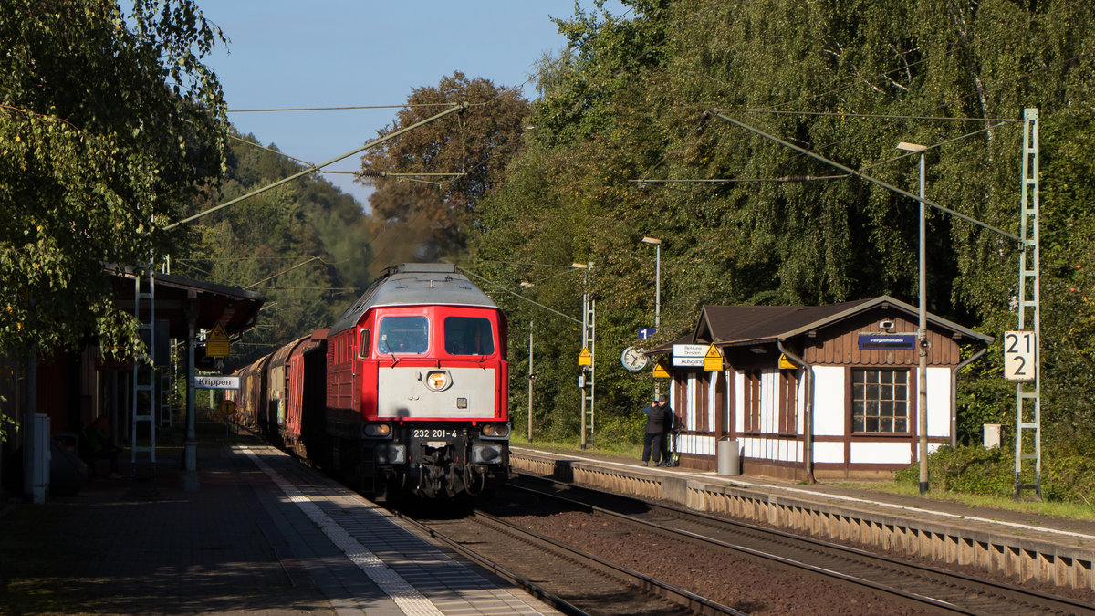 Völlig überraschend war 232 201-4 am 29. September 2018 mit einem Güterzug in Krippen unterwegs. Ziel war Decin hl. n. 
