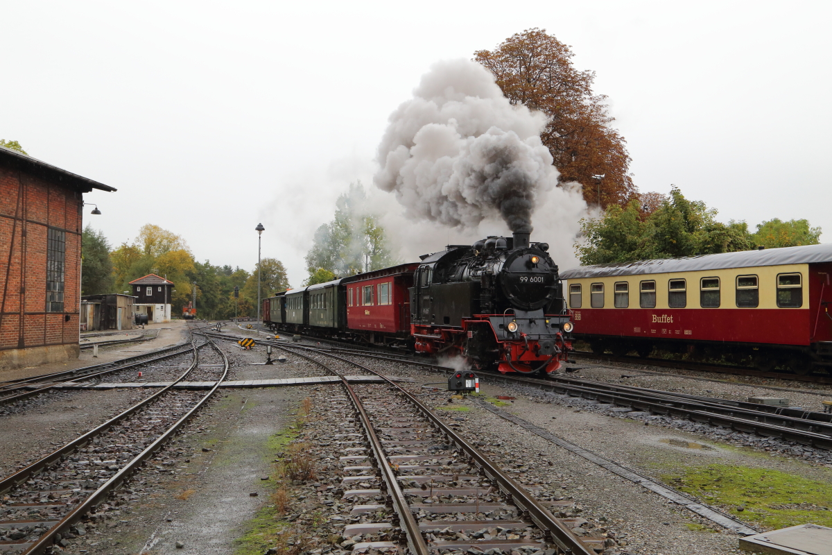 Vom 21.-23.10.2016 fand die nun schon traditionelle Herbstveranstaltung der IG HSB statt. Der erste Zug fuhr, wie gewohnt, von Wernigerode zum Brocken und zurück. Das Bild zeigt denselben, unter Traktion von 99 6001, bei der Einfahrt (Scheineinfahrt) in den Bahnhof Wernigerode-Westerntor, wobei gerade das HSB-Bw passiert wird. Die Aufnahme entstand aus offizieller Fotolinie im Rahmen genannter Veranstaltung. (Bild 2)