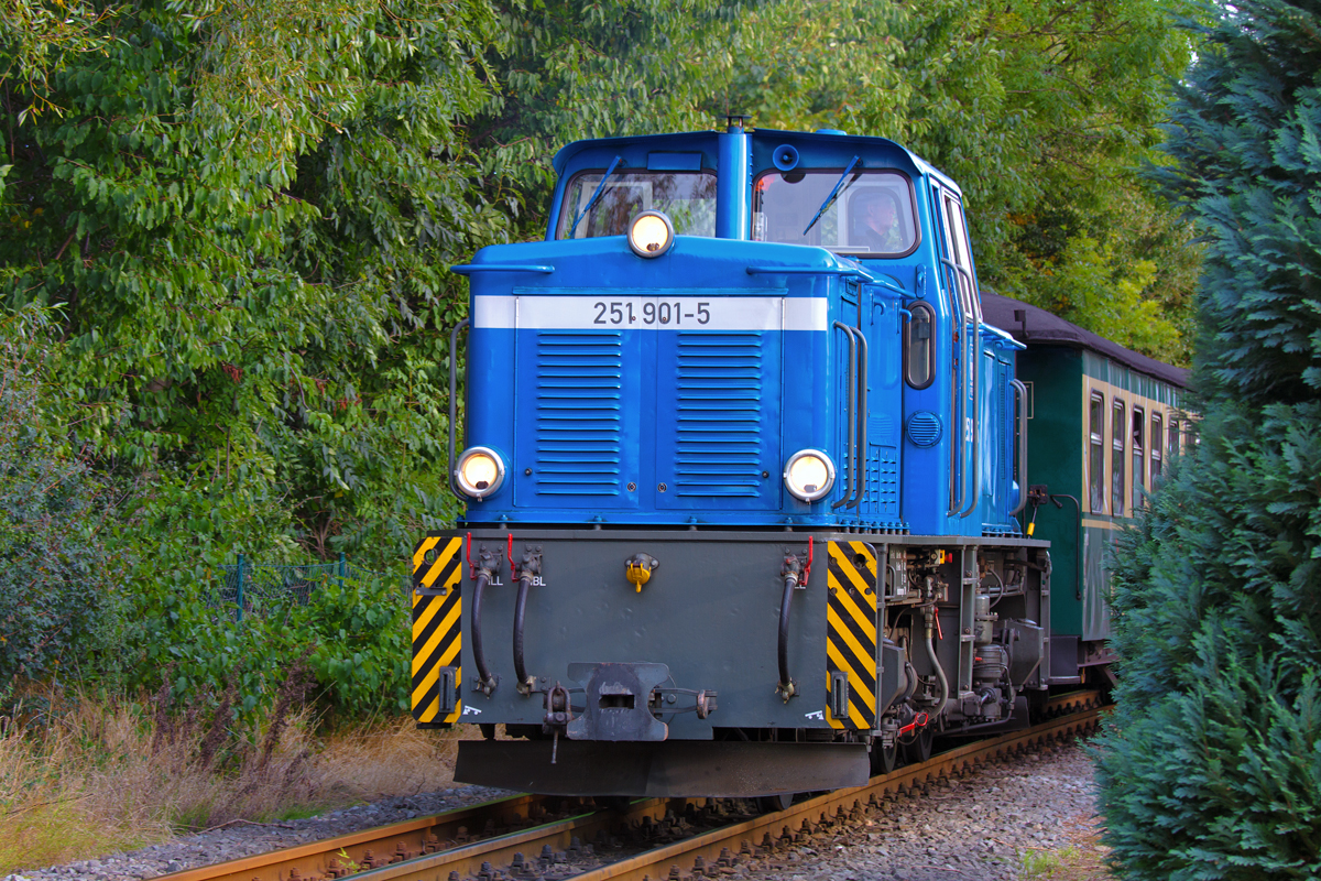 Vom Bahnhof Putbus zum Endhaltepunkt Lauterbach Mole ist der Rasende Roland mit Dampf und Diesel unterwegs, dabei fhrt die V51 den Zug nach Putbus  zurck und wird dort abgespannt. - 21.09.2012