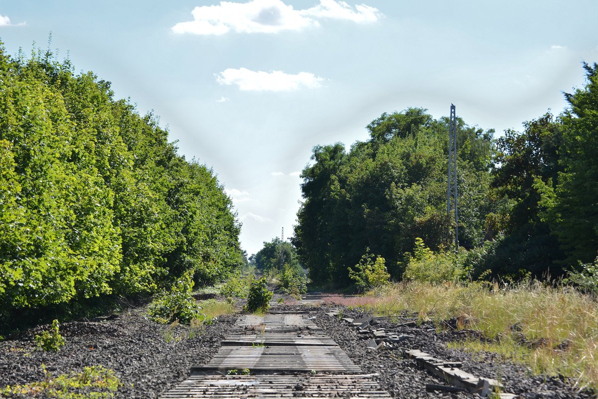 Vom ehemaligen Güterbahnhof zwischen Schora und Güterglück ist nichts mehr übrig. Die Masten wurden bereits gefällt. Einzig auf den Hauptgleisen sind noch die Schwellen vorhanden. 1992 wurde die Strecke ab Nedlitz bis Güterglück 2 Gleisig ausgebaut und 1 Jahr später elektrifiziert. Nur knapp 10 Jahre später wurde die Strecke 2004 stillgelegt und wird teilweise zurück gebaut.

Schora/Güterglück 20.07.2016
