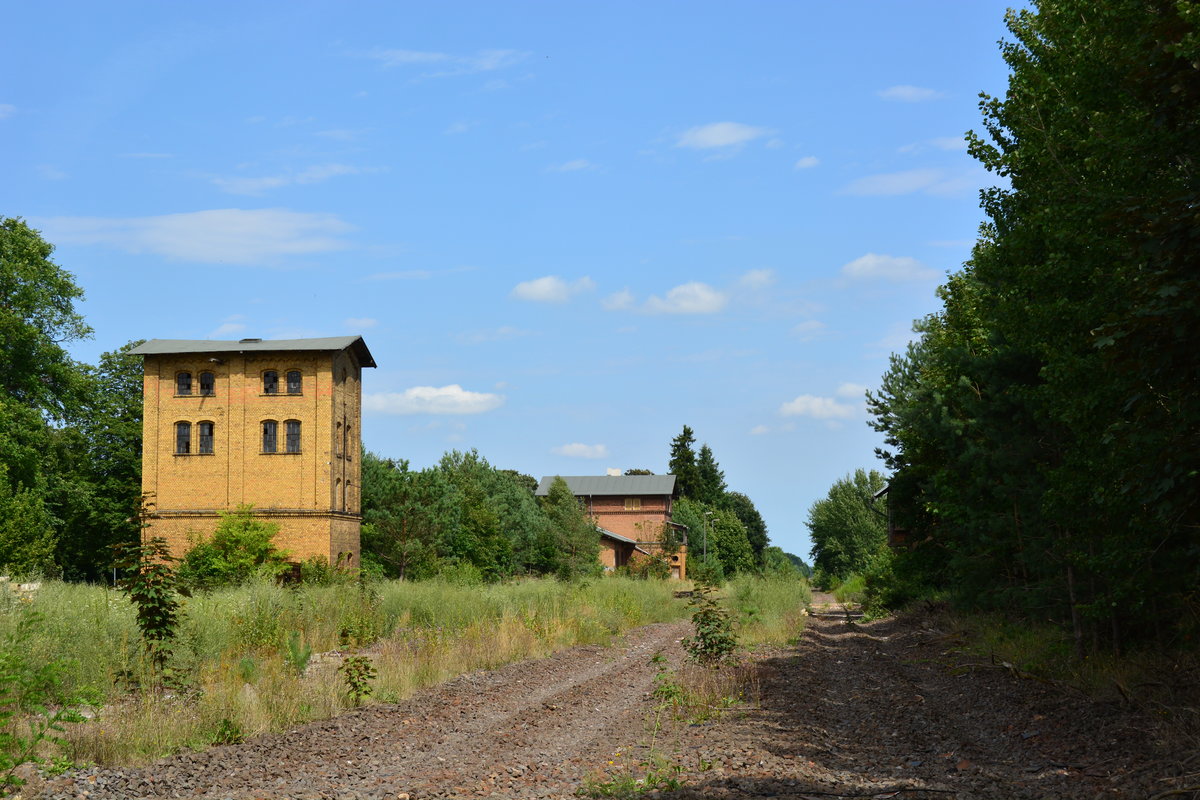 Vom einstigen Bahnhof Nedlitz sind nur noch die alten Gebäude erhalten. Die Gleise und viele Schwellen sind schon abgebaut worden. 1992 wurde die Strecke ab Nedlitz bis Güterglück 2 Gleisig ausgebaut und 1 Jahr später elektrifiziert. Nur knapp 10 Jahre später wurde die Strecke 2004 stillgelegt und wird teilweise zurück gebaut.

Nedlitz 01.08.2017