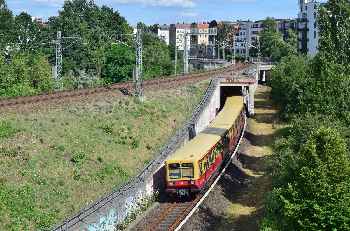 Vom S-Bahn Ring kommend fährt ein Zug der Br 485in Richtung Bornholmer Straße. Das Ende dieser Baureihe naht bereits. Am Gründonnerstag 2023 geht die Baureihe nach 30 Dienstjahren in den Ruhestand. 

Berlin 13.07.2020