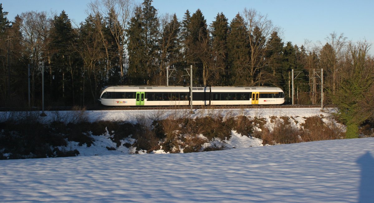 Vom Schatten ins Licht. Der mir unbekannte Thurbo RABe 526 *** hat vor kurzem Mörschwil verlassen und darf jetzt durch die sonnendurchflutete Winterlandschaft nach Goldach fahren.

Mörschwil, 24.01.2021