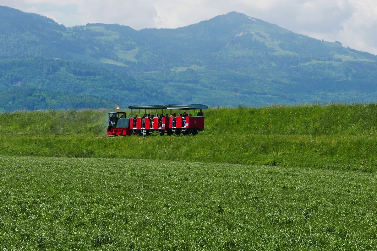 Vom Werkhof beim Steinbruch Kadelberg kommend schiebt eine Feldbahnlok die Wagen mit den Fahrgästen der vom Verein Rhein-Schauen organisierten 'Fotofahrt für Liebhaber' am Rheindamm entlang nach Mäder (30.05.2019).