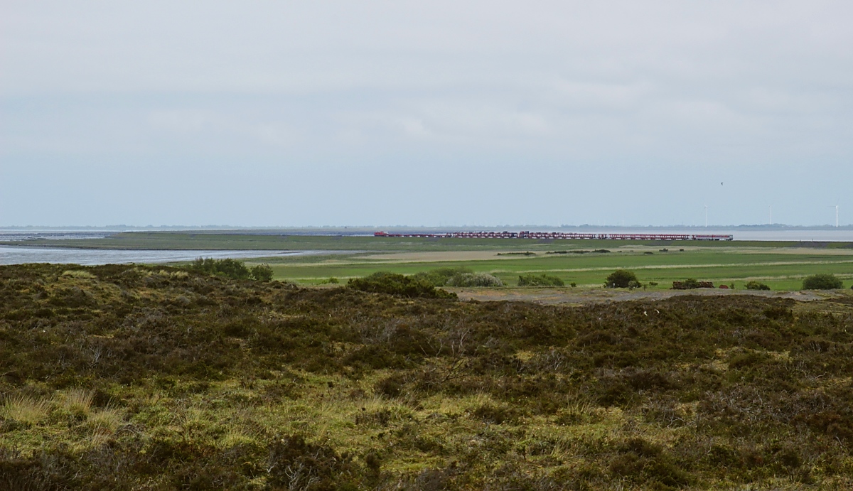 Von der Anhöhe des Morsumer Kliffs an der Ostspitze der Insel Sylt reicht der Blick weit über das Wattenmeer bis zum Festland, am 04.06.2022 ist gerade ein von einer 245 gezogener Autoshuttle mit einem 628 am Zugschluss auf dem Hindenburgdamm in Richtung Niebüll unterwegs