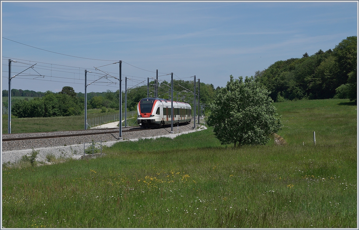 Von Biel/Bienne kommend erreicht der SBB RABe 522 206 sein Ziel Meroux TGV. 

1. Juni 2019