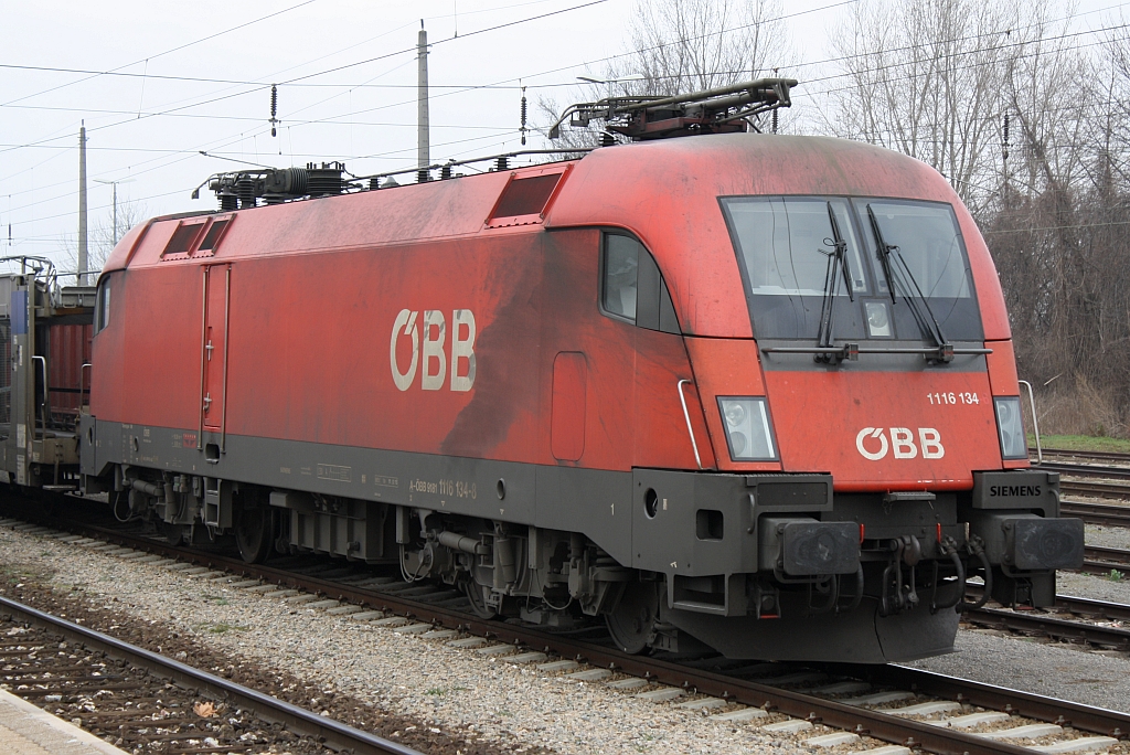 Von einem gepflegten usserem kann man hier wirklich nicht sprechen: 1116 134-8 am 08.Mrz 2014 im Bf. Ebenfurth.