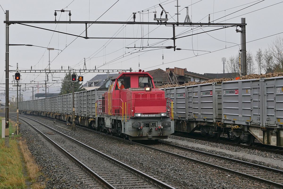Von Frauenfeld kommend erreicht Am 841 013-6 mit der zweiten Wagengruppe am 10.11.2021 Bürglen (TG), damit die Wagen mit Zuckerrüben befüllt werden können. Aufnahmestandort am Ende des Bahnsteigs.