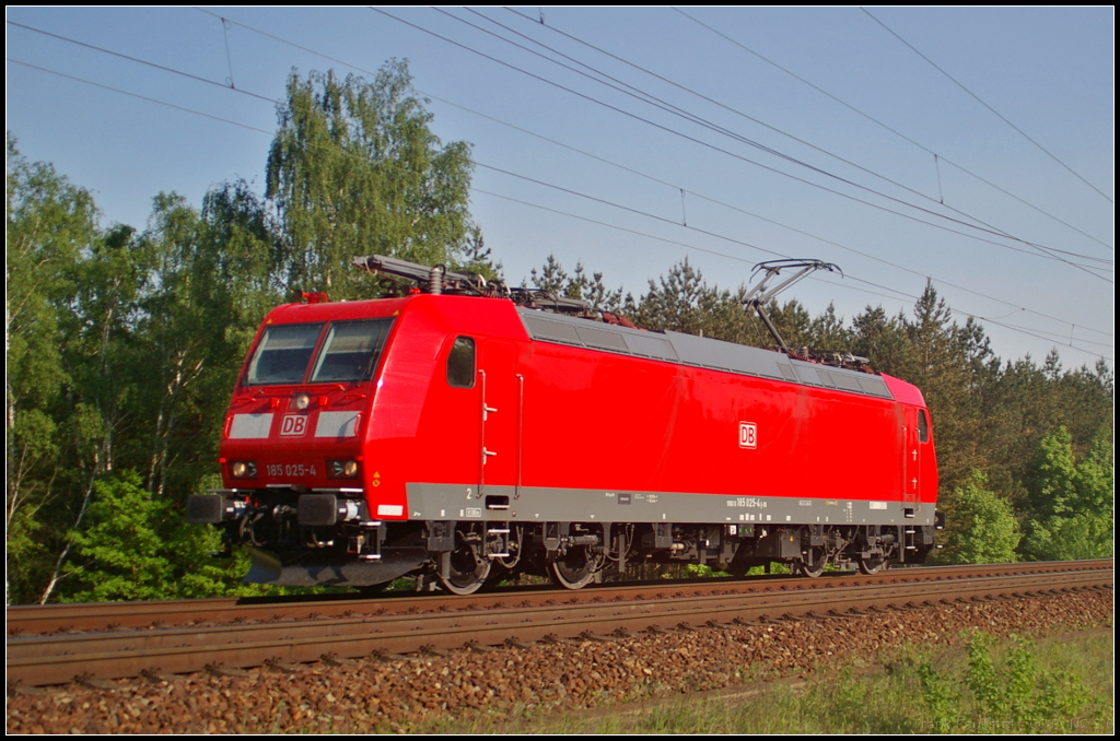 Von ihrer schönsten Seite zeigte sich DB Cargo 185 025-4 als sie am 19.05.2017 solo durch die Berliner Wuhlheide fuhr (Standort öffentlich zugänglich)