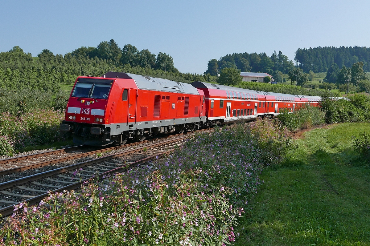 Von Mnchen kommend hat 245 002 mit dem RE 57406 in wenigen Minuten das Ziel Lindau erreicht. Aufnahme  entstand am 10.09.2016 bei Bodolz.