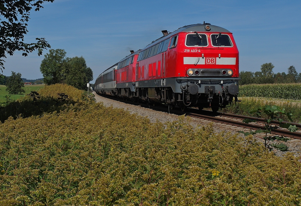 Von Mnchen kommend haben 218 403-4 und 218 428-1 mit dem EC 194 nach Zrich gerade Kilegg passiert und fahren am 12.09.2015 bei Kilegg-Brenweiler am Fotograf vorbei.