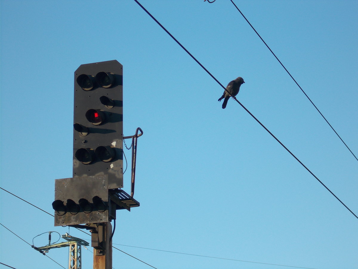 Von oben hat man eben halt den besten Überblick.Aufnahme am 04.April 2016 in Bergen/Rügen