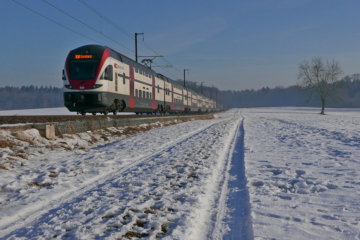 Von Zürich kommend fährt am 29.01.2017 bei Siegershausen RABe 511 020 als IR 2111 nach Konstanz.