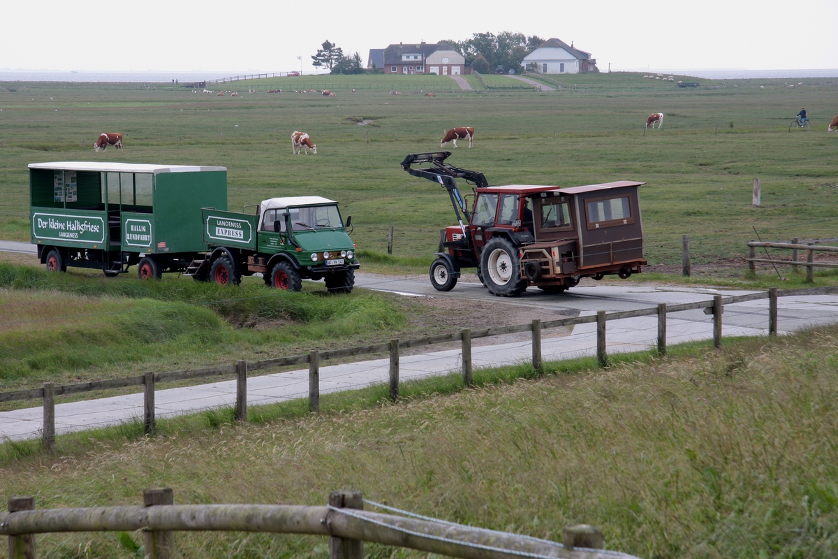 Vor der Fahrt nach Oland muß erst einmal Lore 19, Huckepack am Traktor, zum Bf., während unterhalb der Honkenswarf der  Langeness Express  auf den nächsten Einsatz wartet. Im Hintergrund die Tadenswarf. (10.06.2012)  
