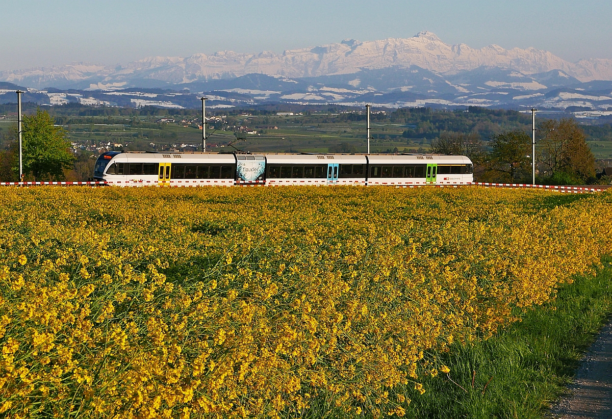 Vor der imposanten Kulisse des Alpsteinmassivs mit seinem 2.502 m Säntis befährt S14 25875 von Konstanz nach Weinfelden am 29.04.2017 den großen Bogen bei Berg (TG).