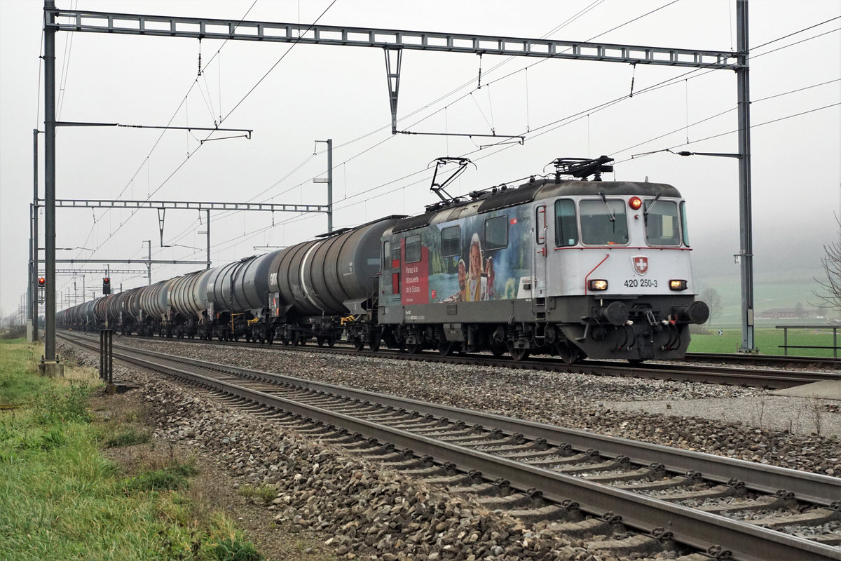 Vor Kesselwagenzügen auf der Jurasüdfuss Linie machen die Re 420 mit Werbeanstrich auch bei nebligem Herbstwetter eine gute Figur.
Re 420 253-3 bei Oberbuchsiten am 25. November 2020.
Foto: Walter Ruetsch
