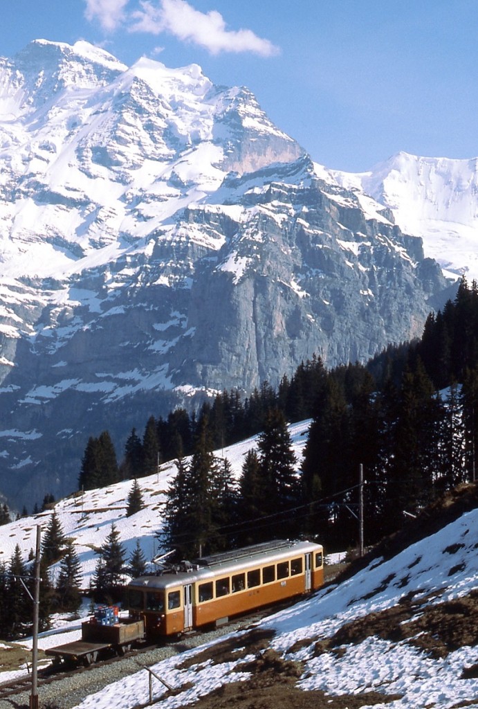 Vor der Kulisse der 4.158 m hohen Jungfrau ist ein Be 4/4 der Bergbahn Lauterbrunnnen-Mürren Anfang Mai 1981 unterwegs. Leider besass ich damals nur ein 50 mm- und ein 135 mm-Objektiv, wenn man das grandiose Panorama von Eiger, Mönch und Jungfrau zusammen mit der Bahn auf einem Bild unterbringen will, benötigt man aber unbedingt ein Weitwinkelobjektiv.