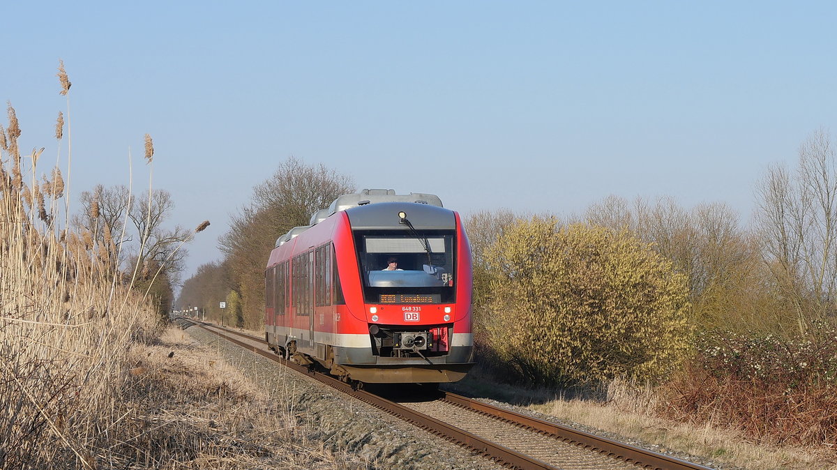 Vorbei an einem blühenden Haselnussstrauch kommt an einem sonnigen Februartag 648 331  Ascheberg  als RE 83 (21821) Lübeck - Lüneburg; kurz vor Lauenburg, 18.02.2019
