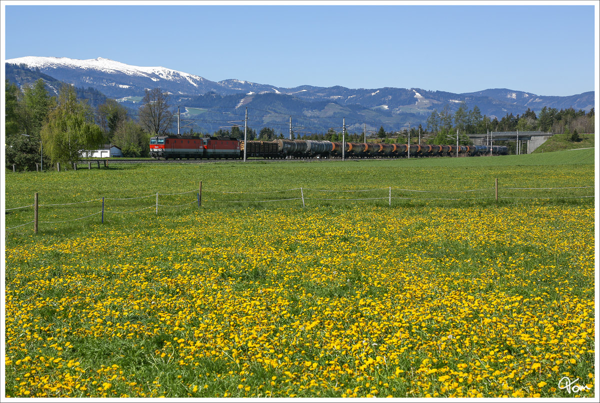 Vorbei an einem Löwenzahnfeld, fährt dieses 1144er Tandem mit einem Güterzug, durch das frühlingshafte Murtal.
Zeltweg 30.04.2016