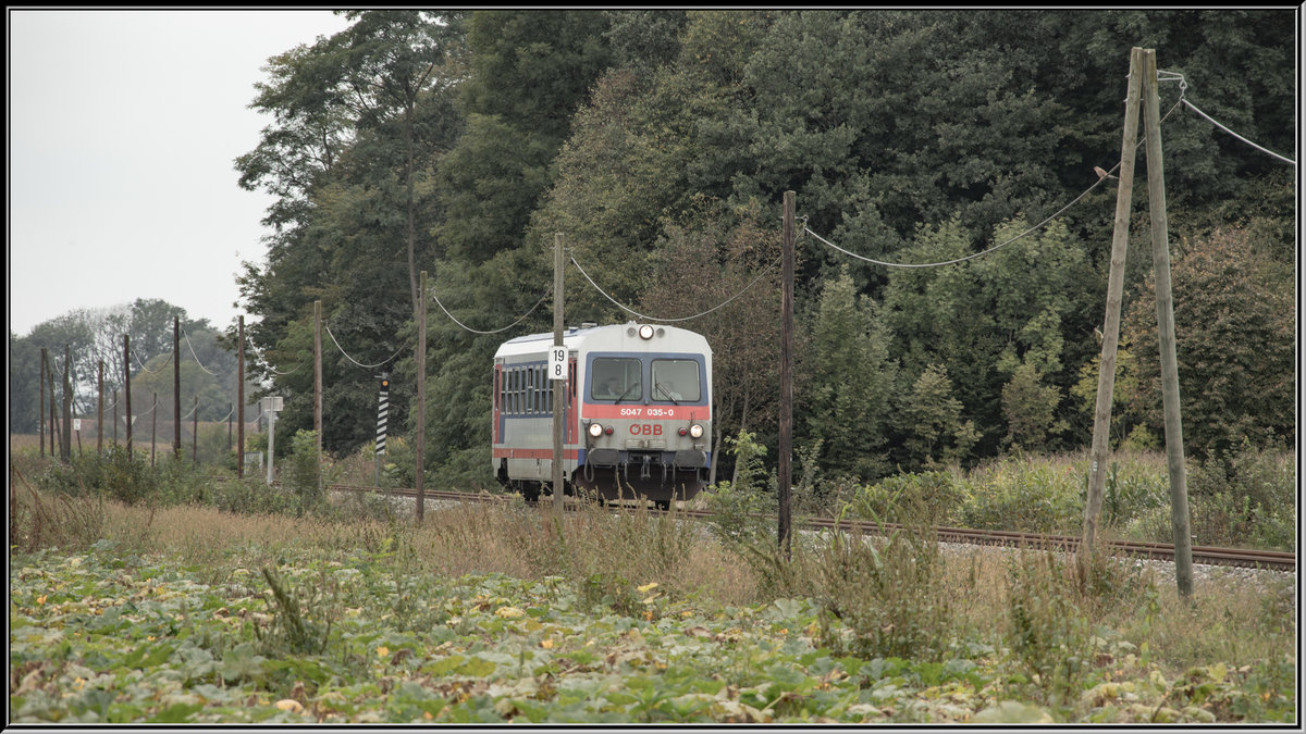 Vorbei an einem noch nicht geernteten  Plutzafeld  rattert 5047.35 bei Weixelbaum dahin. 
14.09.2019