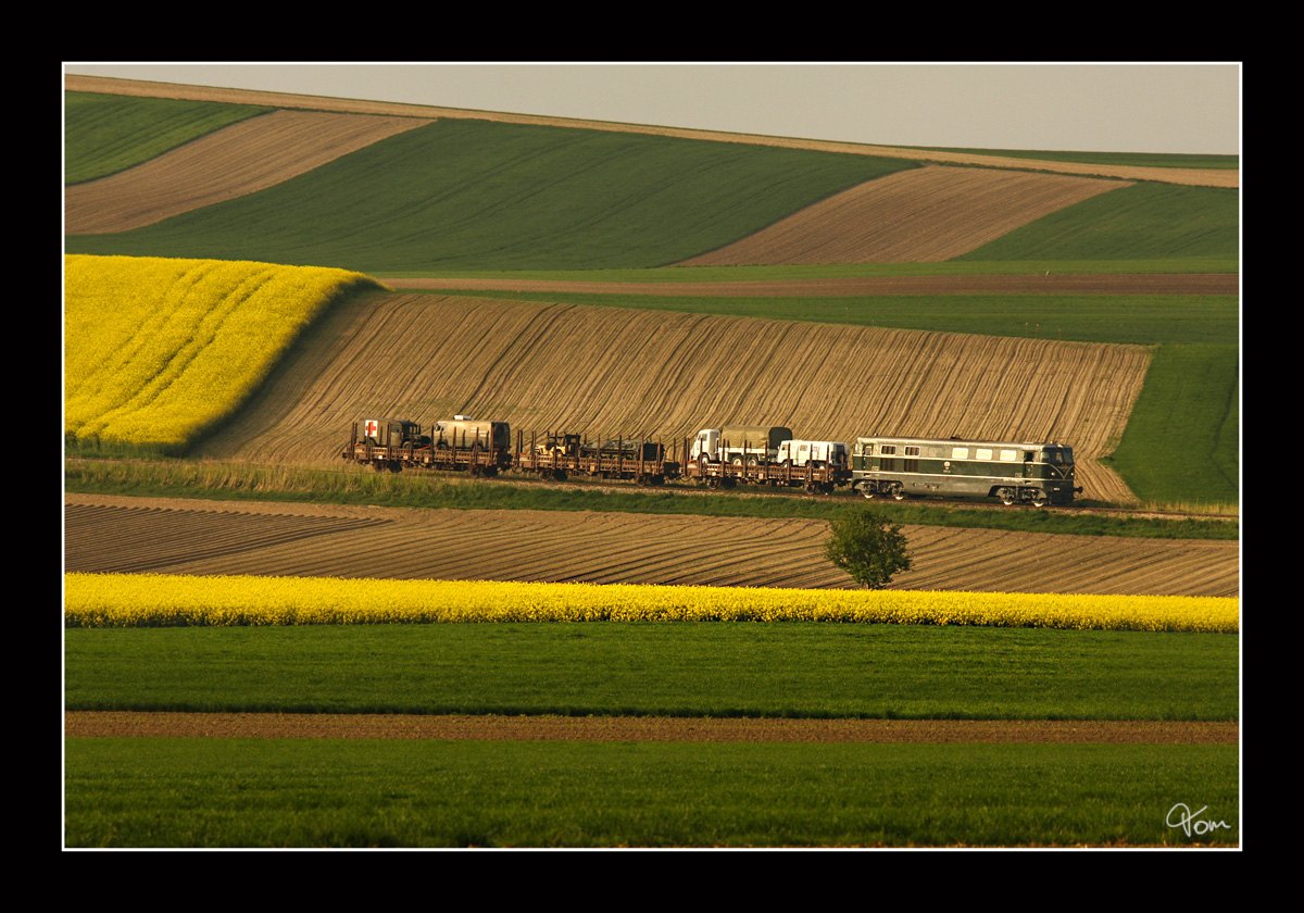 Vorbei an den gelben Rapsfeldern am Scharreiterberg, rollt die 2050.04 mit dem Militärzug SGAG 90153 in Richtung Korneuburg.
Mollmannsdorf 1.5.2011