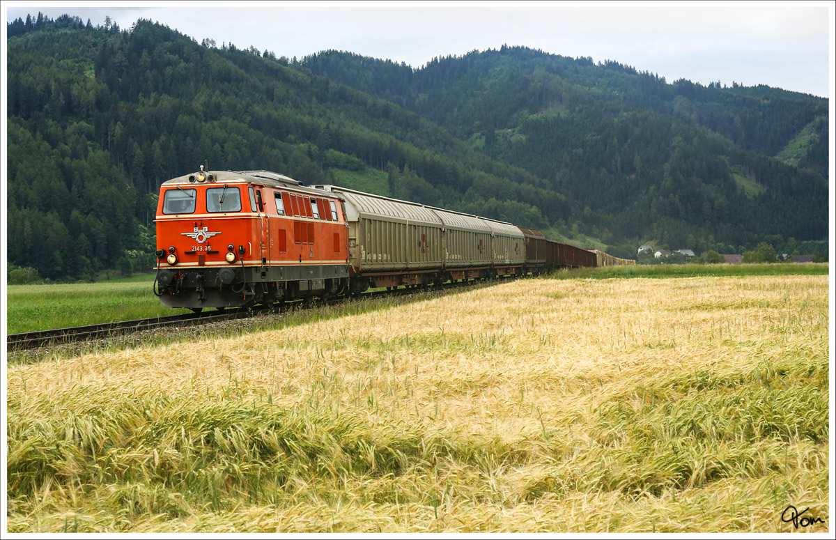 Vorbei an den Getreidefeldern nahe Wasendorf, rollt 2143.035 mit dem Leerzug 63515 von Pöls nach Zeltweg. 
17.6.2014 