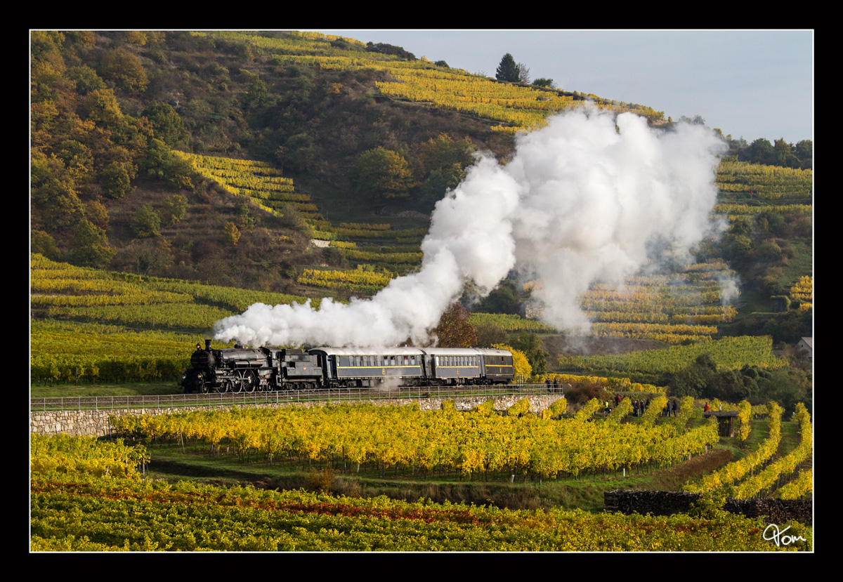 Vorbei an den Weinbergen in der Wachau, dampft die Gölsdorf Dampflok 310.23 mit dem SDZ 17264 von Wien Heiligenstadt nach Spitz an der Donau.  
Stein Mautern 28_10_2016