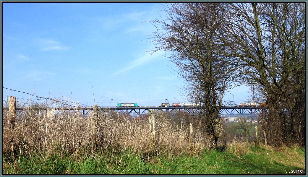 Vorfrühling am Göhltalviadukt bei Moresnet am 08.März 2014.Eine belgische Cobra durchfährt gerade mit ihrer Güterfracht die Stromtrennstelle mit abgesenkten Stromabnehmern. 