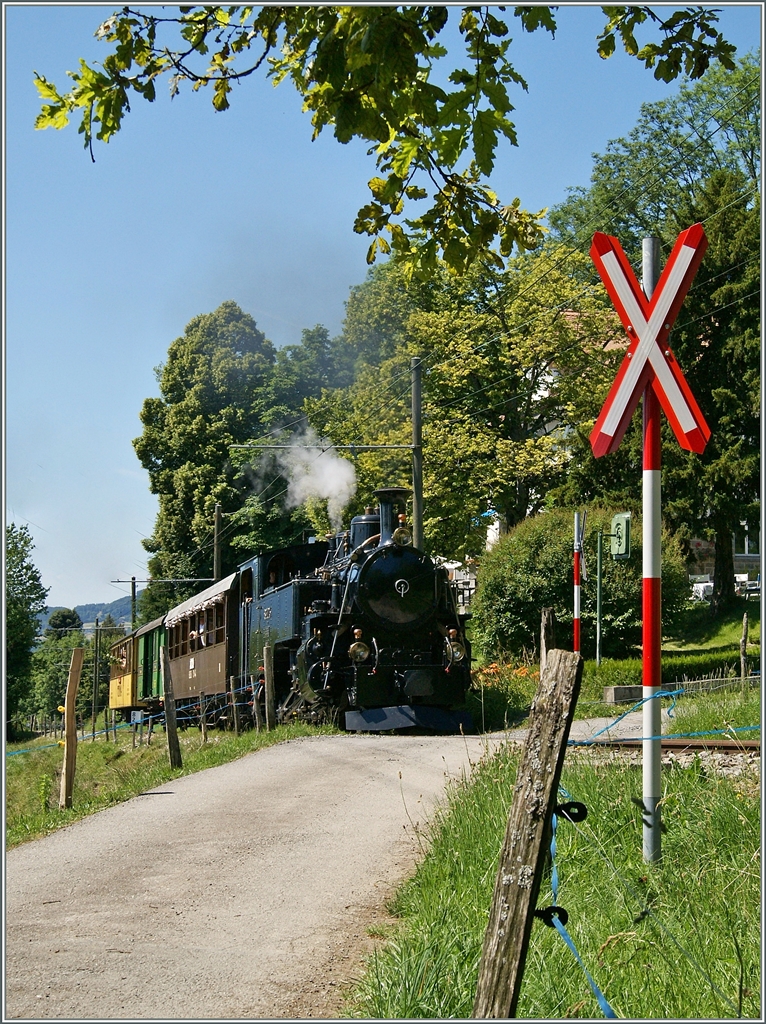 Vorsicht, ein Zug kommt - ein Andreaskreuz warnt den Wanderer vom Blonay-Chamby Dampfzug, der in Kürze Chaulin erreichen wird.
28. Juni 2015