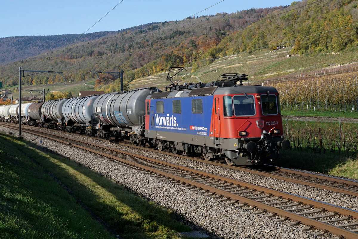VORWÄRTS mit der Re 420 288-3 bei Cressier am 12. November 2019.
Foto: Walter Ruetsch