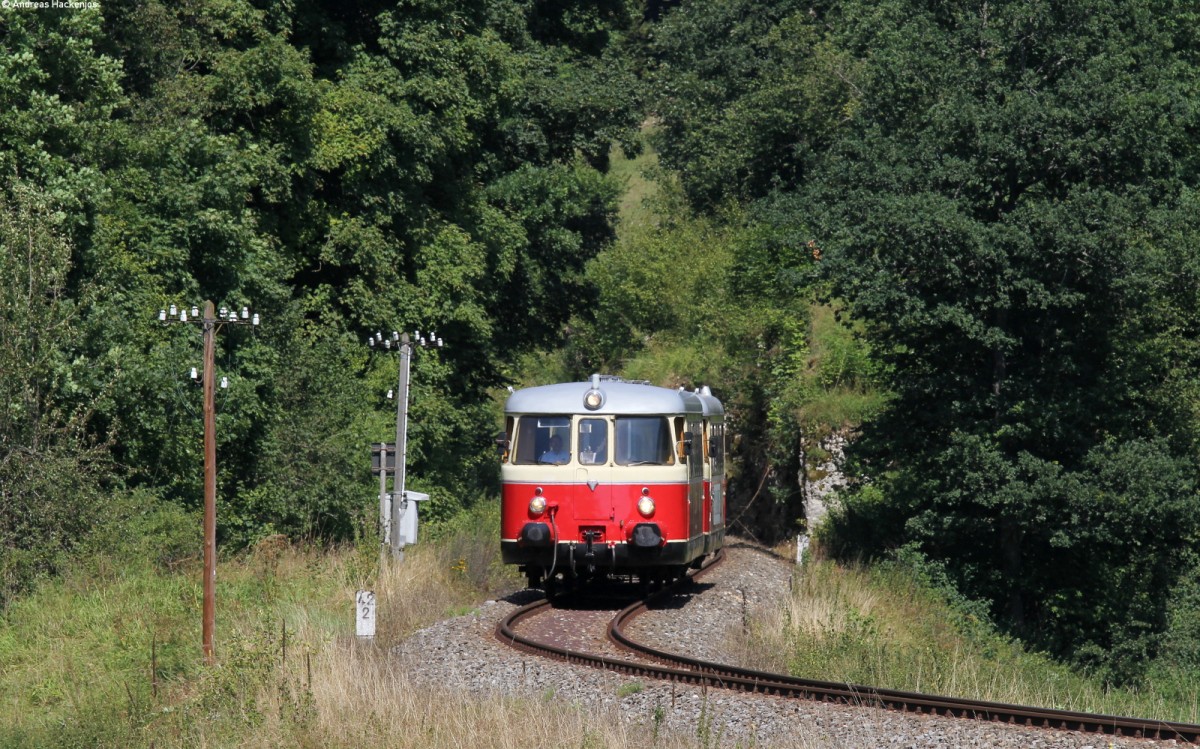 VS 14 und VT 8 der SAB als SAB-Sommerferien-Express (Offenhausen-Schelklingen) bei Mehrstetten 21.8.13