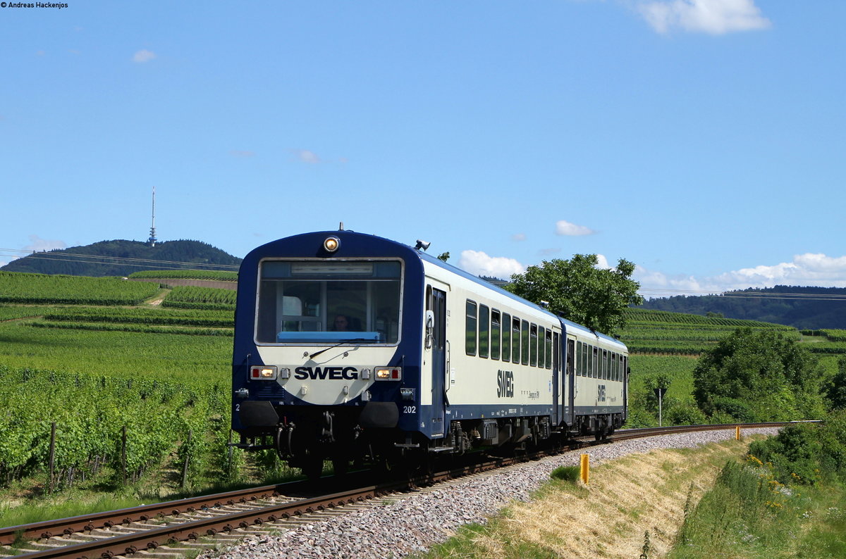 VS 202 und VT 126 als SWE74216 (Breisach-Riegel Malterdingen NE) bei Burkheim 4.7.16