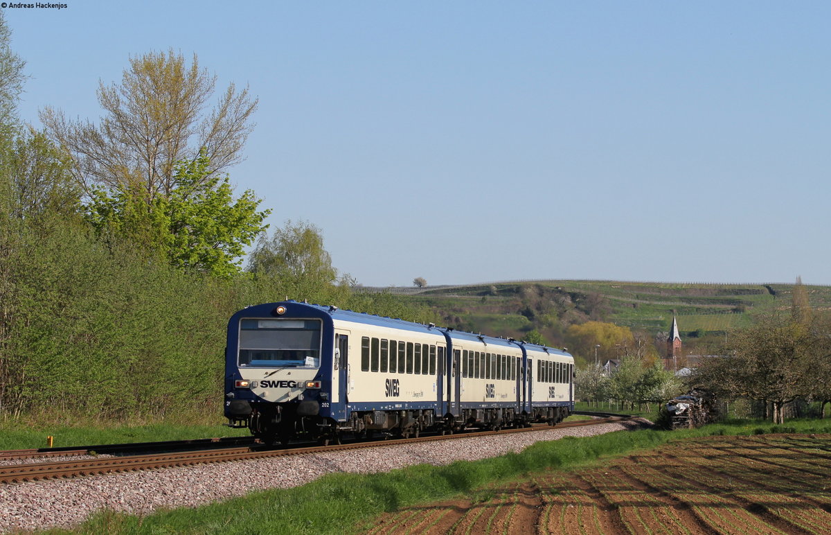VS 202,VT 126 und VT 127 als SWE74265 (Endingen-Gottenheim) bei Bötzingen 20.4.16