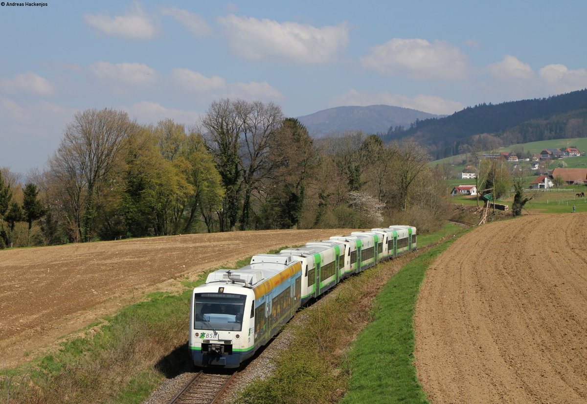 VT 006; VT 012; VT 020 und VT 016 als SWE88429 (Elzach-Freiburg(Brsg)Hbf) bei Oberwinden 15.4.19