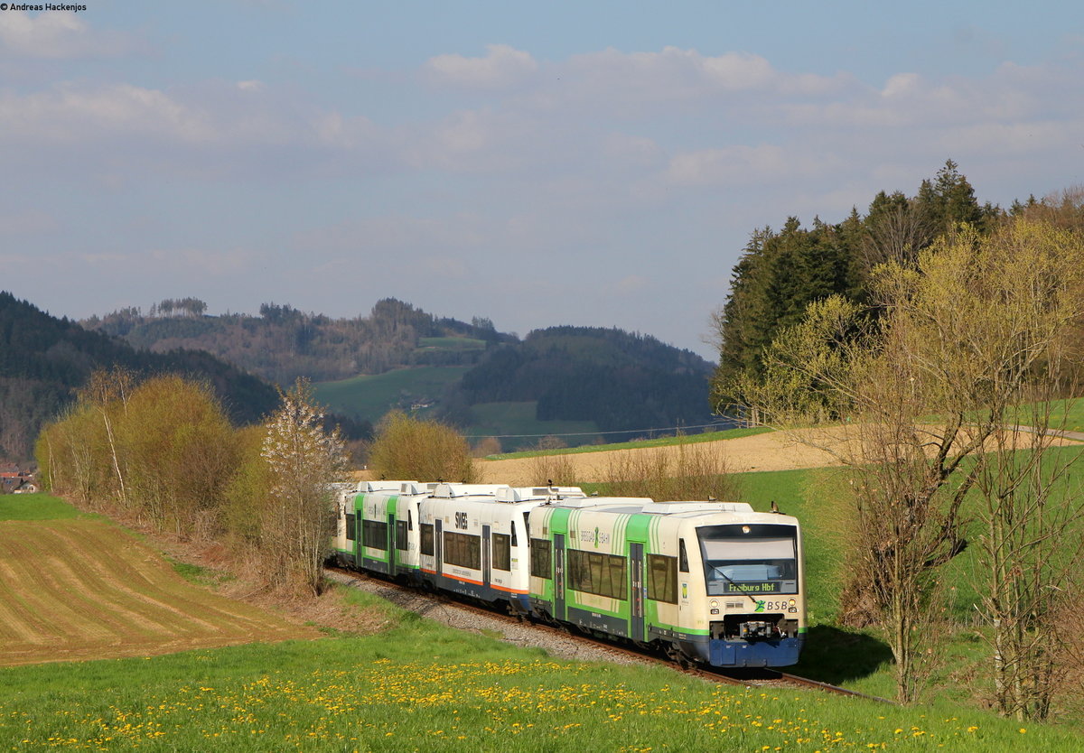 VT 015; VT 504; VT 008 und VT 013 als SWE88435 (Elzach-Freiburg(Brsg)Hbf) bei Bleibach 15.4.19