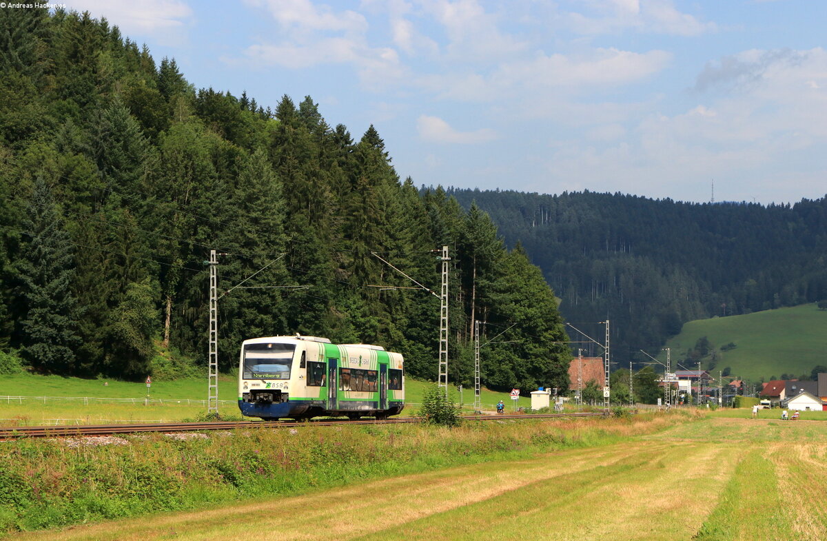 VT 018 als SWE87519 (Hausach-Hornberg) bei Gutach 15.8.21