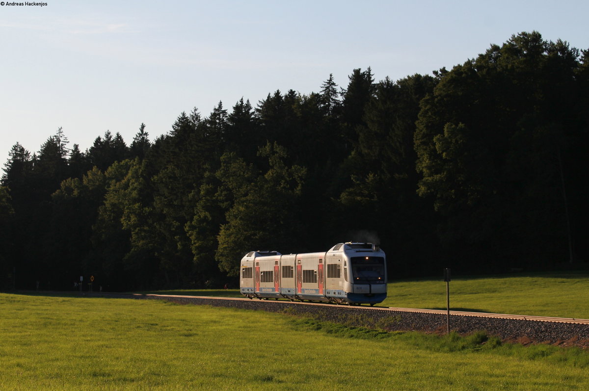 VT 105 als BOB86985 (München Hbf-Tegernsee) bei Schaftlach 23.7.19