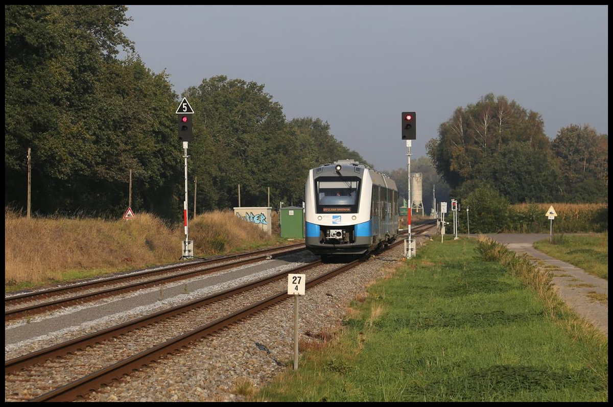 VT 111 der Bentheimer Eisenbahn passiert hier am 23.9.2020 um 9.41 Uhr den BÜ Grüner Weg bei Hestrup. Der VT ist als RB 56 unterwegs nach Bad Bentheim.