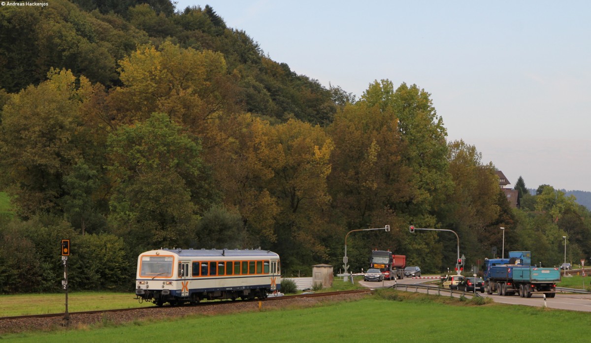 VT 125 als SWE71708 (Achern-Ottenhöfen) bei Furschenbach 26.9.14