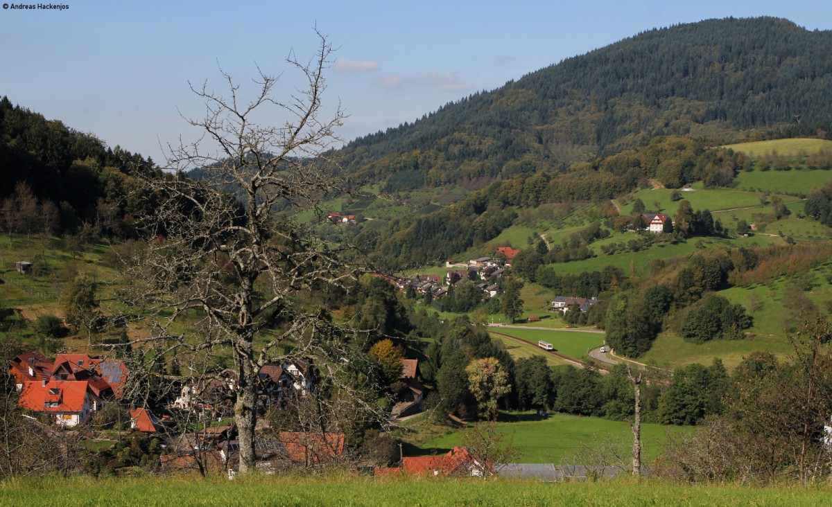 VT 125 als SWE71723 (Ottenhöfen-Achern) bei Ottenhöfen 26.9.14 Wer ihn findet darf ihn behalten :-P