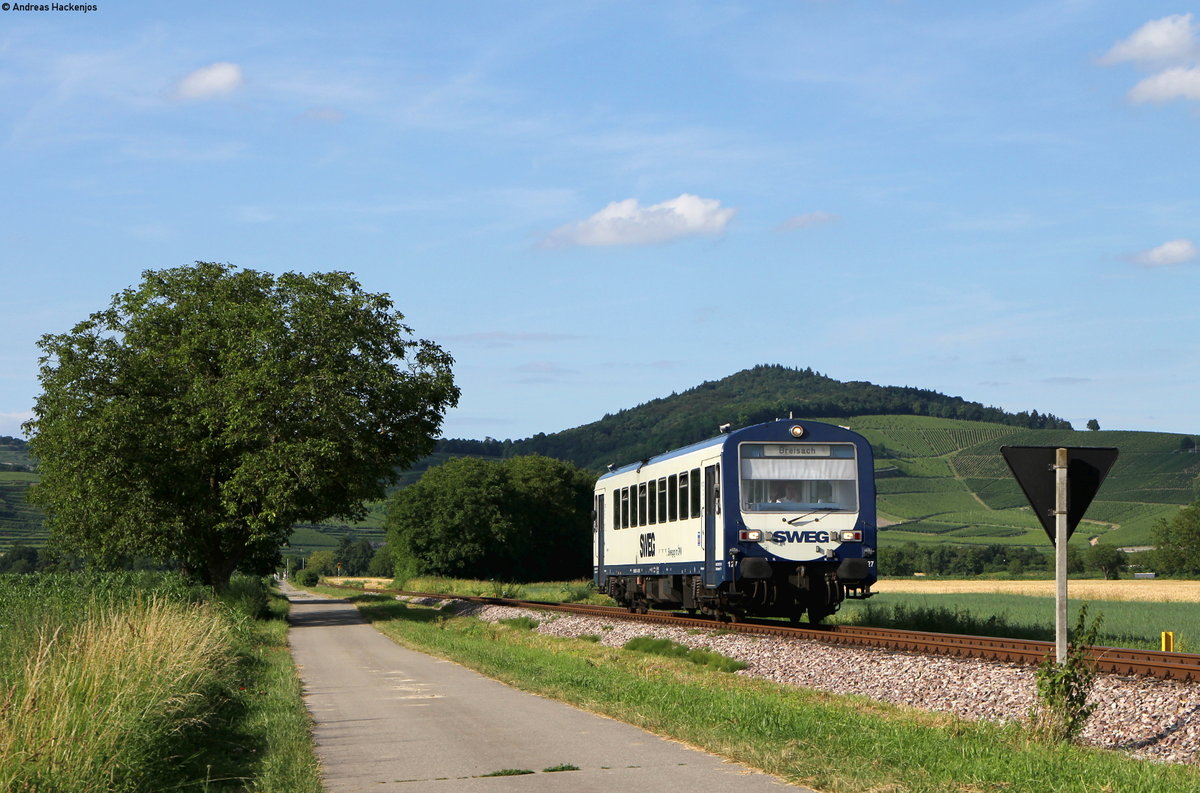 VT 127 als SWE74229 (Riegel Malterdingen NE-Breisach) bei Breisach 4.7.16