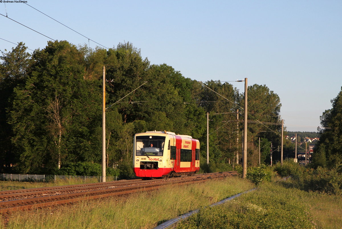 VT 231 als HzL88022 (Donaueschingen-Bräunlingen Bf) bei Donaueschingen 13.6.17