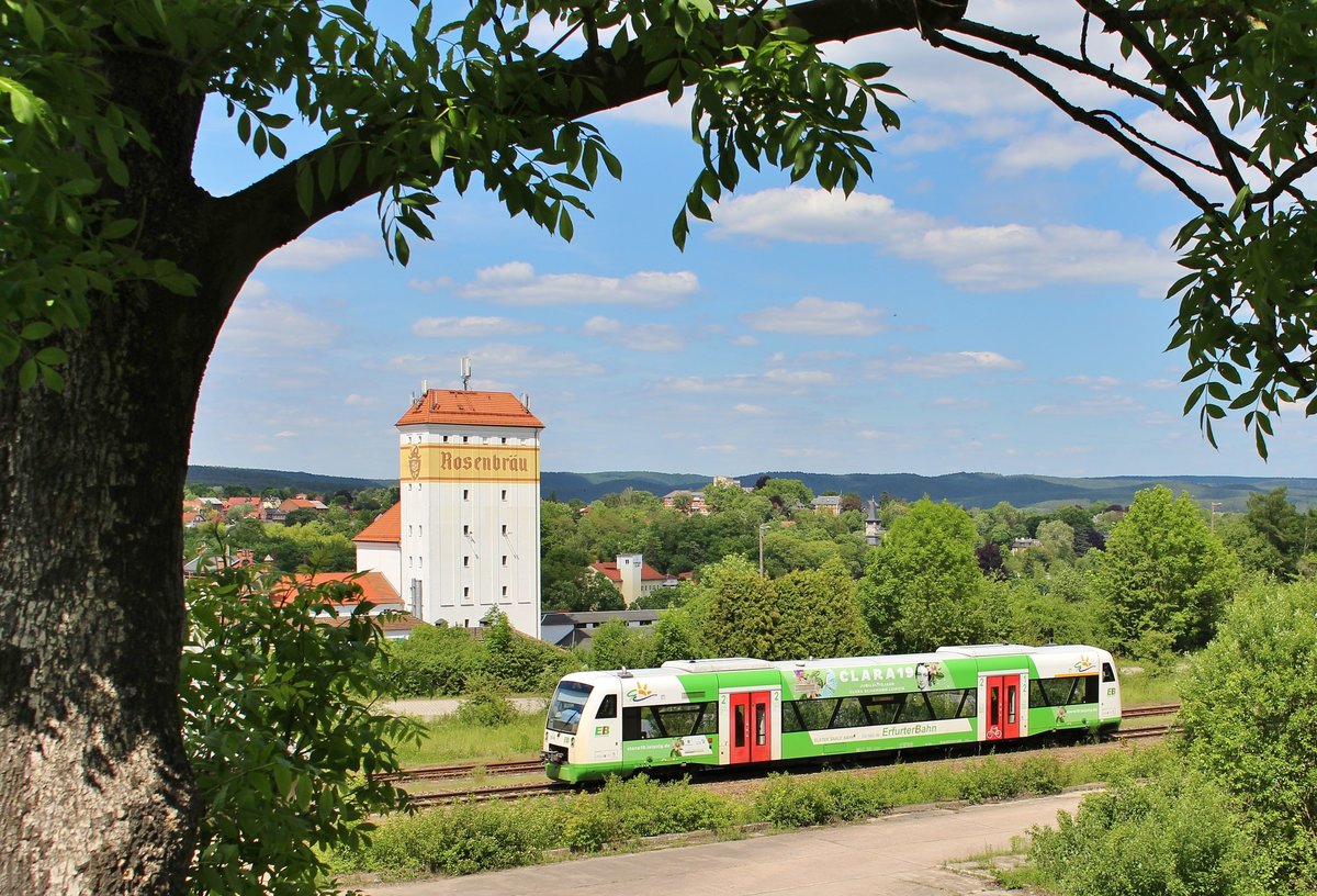 VT 314 der Erfurter Bahn mit der Werbung für Clara Schumann. War am 30.05.19 als EB 80851 in Pößneck oberer Bahnhof zu sehen.