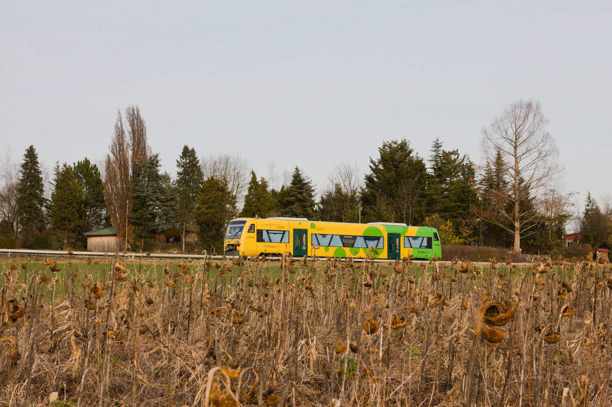 VT 362 als RB47 Korntal-Heimerdingen am 12.02.2022 bei Korntal. 