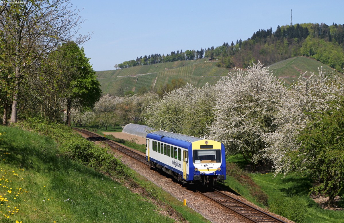VT 413 als SWE71716 (Achern-Ottenhöfen) bei Kappelrodeck 21.4.15
