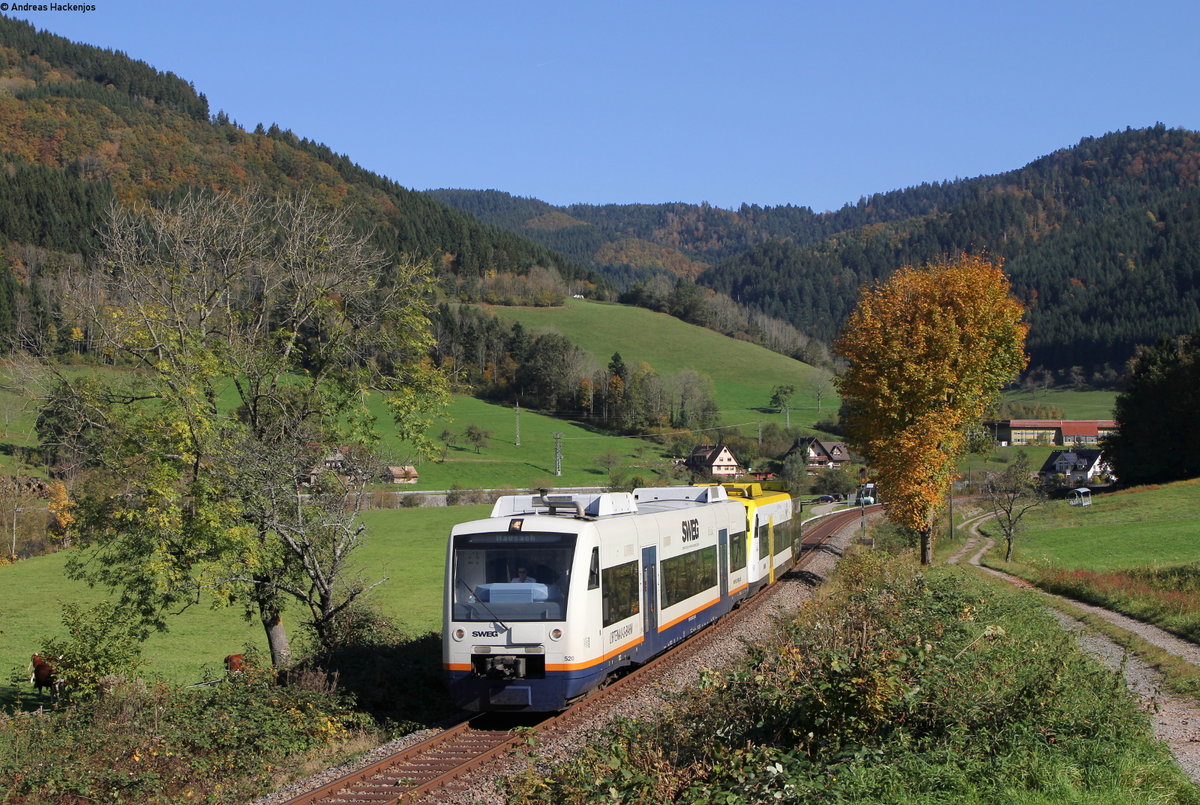 VT 520 und VT 514 als SWE99092(Freudenstadt Hbf-Hausach) bei Halbmeil 15.10.17