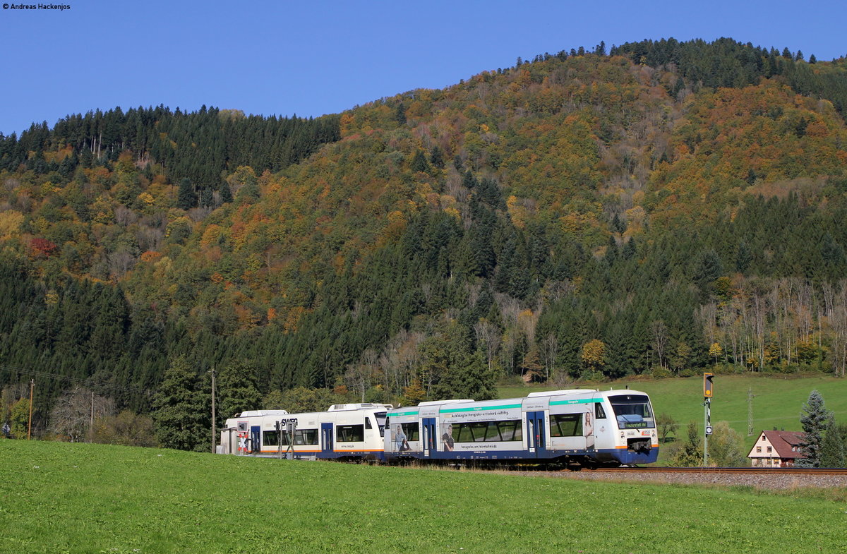 VT 528  Hans Grohe  und VT 513  als SWE87381 (Hausach-Freudenstadt Hbf) bei Halbmeil 15.10.17