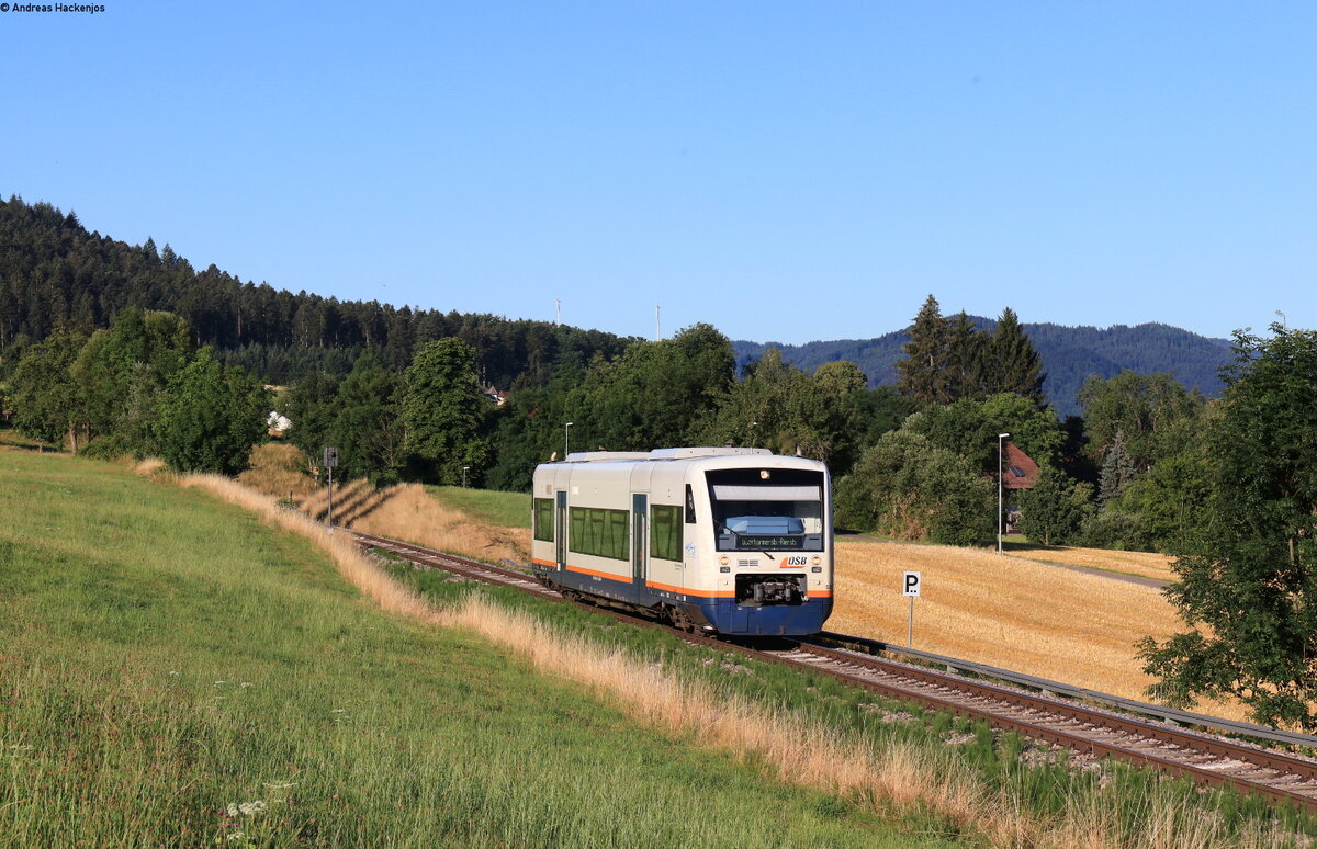 VT 532 als SWE 87543 (Ottenhöfen - Oberharmersbach-Riersbach) bei Unterharmersbach 13.7.22