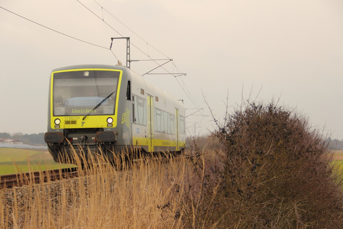 VT 650.725 Agilis bei Ebersdorf am 04.03.2014.